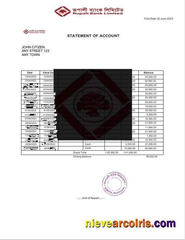 India Rupali Limited bank statement, Word and PDF format